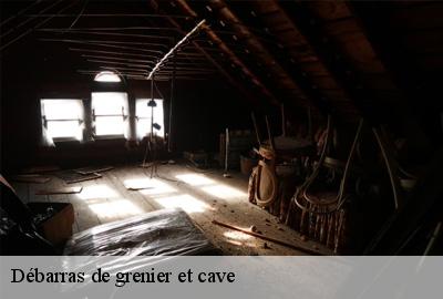 Débarras de grenier et cave Loire-Atlantique 