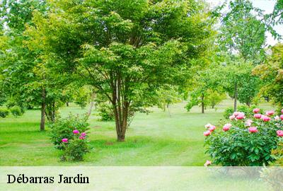 Débarras Jardin Loire-Atlantique 