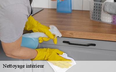 Nettoyage intérieur 44110