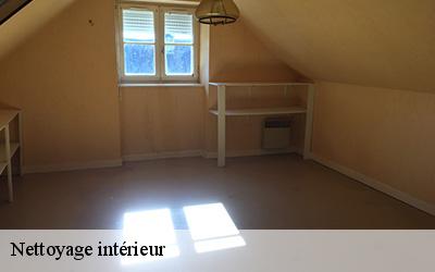 Nettoyage intérieur 44350