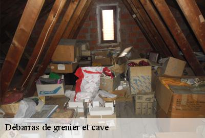 Débarras de grenier et cave  44150