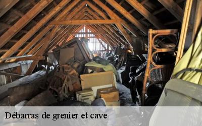 Débarras de grenier et cave 44115