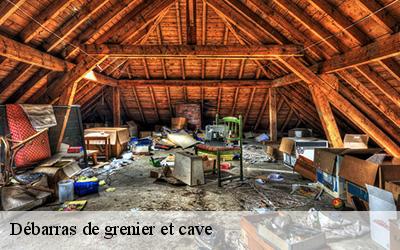 Débarras de grenier et cave 44590