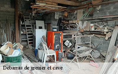 Débarras de grenier et cave 44710