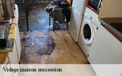 Vidage maison succession 44310